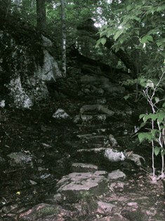 Harmon Hill trail